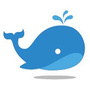鲸鱼易租ico
