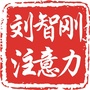 刘智刚注意力训练ico