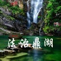 法治鼎湖ico