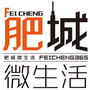 肥城微生活ico