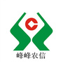 峰峰农信ico