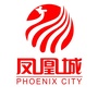 凤凰城郑州ico