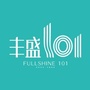 丰盛101ico