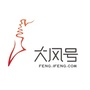 凤凰网大风号ico
