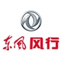 佛山德惟正东风风行汽车ico