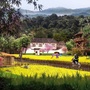 奉新村游ico