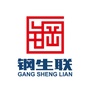 钢生联视点ico