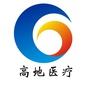 高地医疗ico
