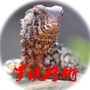 罗坑保护区ico