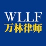 佛山万林律师所ico