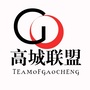 高城联盟公众号ico