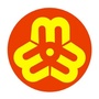 静海妇联ico