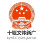十堰文体新广局ico