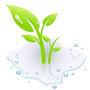 万物小草ico