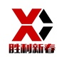 大漠新春ico