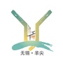 羊尖小镇ico