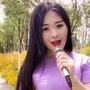 元阳情歌公众号ico