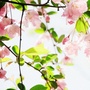 万象音乐相册ico