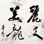 美丽龙文ico