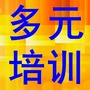 宁夏多元培训ico