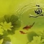 全球钓鱼百科ico