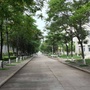 河南城建学院教师中心ico