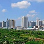 桂风起港北ico