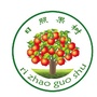 日照市果树协会ico