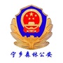 宁乡森林公安ico