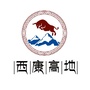 西康高地ico