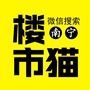 南宁楼市猫ico