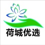 荷城优选ico