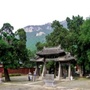 大美五峰ico