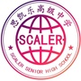 思凯乐高级中学ico