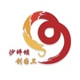 沙坪坝创国卫ico