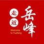 走近岳峰ico