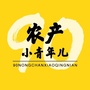 河套供应链管理中心ico