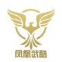 凤凰武酷ico