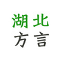 湖北方言公众号ico