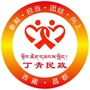 丁青民政ico