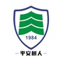平安树人ico