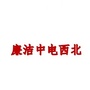 廉洁中电西北ico