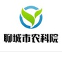 聊城市农科院ico
