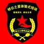 明日之星特训营ico
