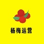 杨梅运营ico