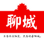 聊城全攻略公众号ico
