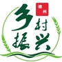 德州乡村振兴ico