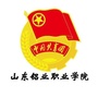 山东铝业职业学院团委ico