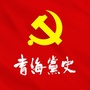 青海党史网上陈列馆ico