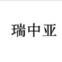 瑞中亚试验仪器ico